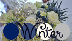 Winter bouquet including navy blue eryngium, white roses and hydrangeas, and brooches for a December 26 winter wedding.