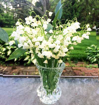 Lilies of the Valley by the Garden by the Gate Floral Design